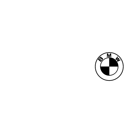 The BMW Group
