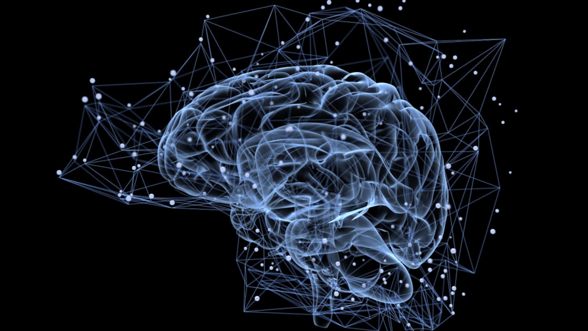 brain with data points